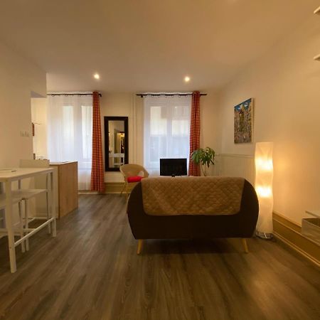 L'Ours De Colmar - Appartements En Centre Ville 외부 사진