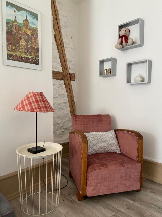 L'Ours De Colmar - Appartements En Centre Ville 외부 사진