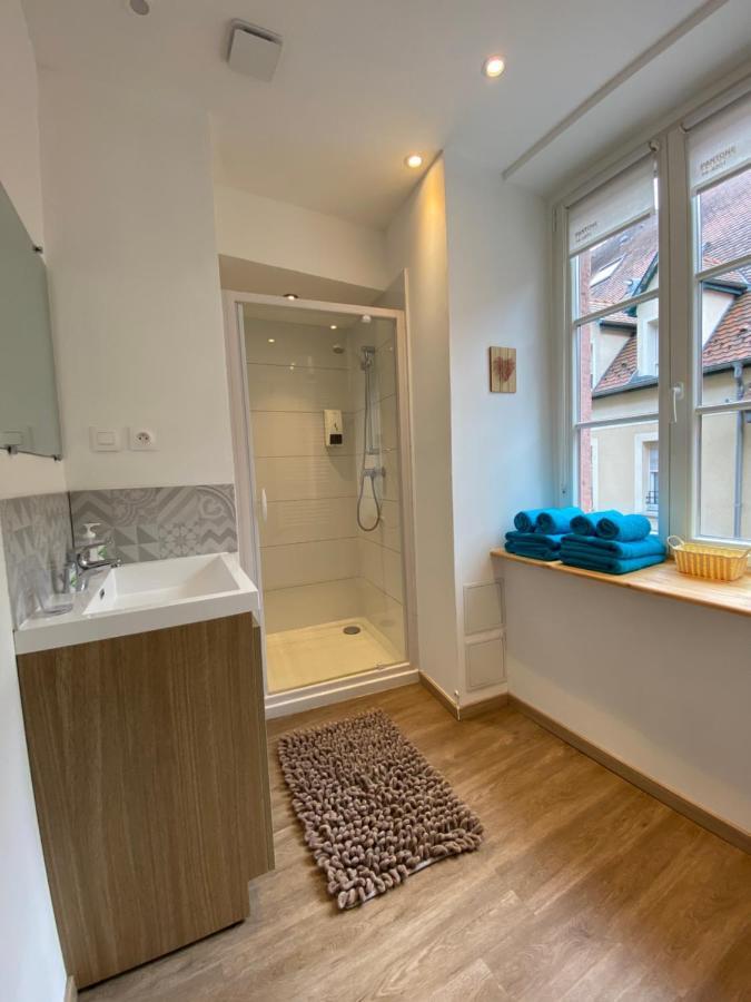 L'Ours De Colmar - Appartements En Centre Ville 외부 사진