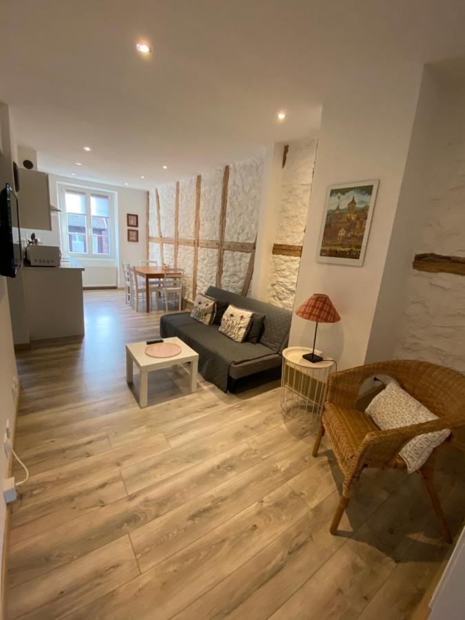 L'Ours De Colmar - Appartements En Centre Ville 외부 사진