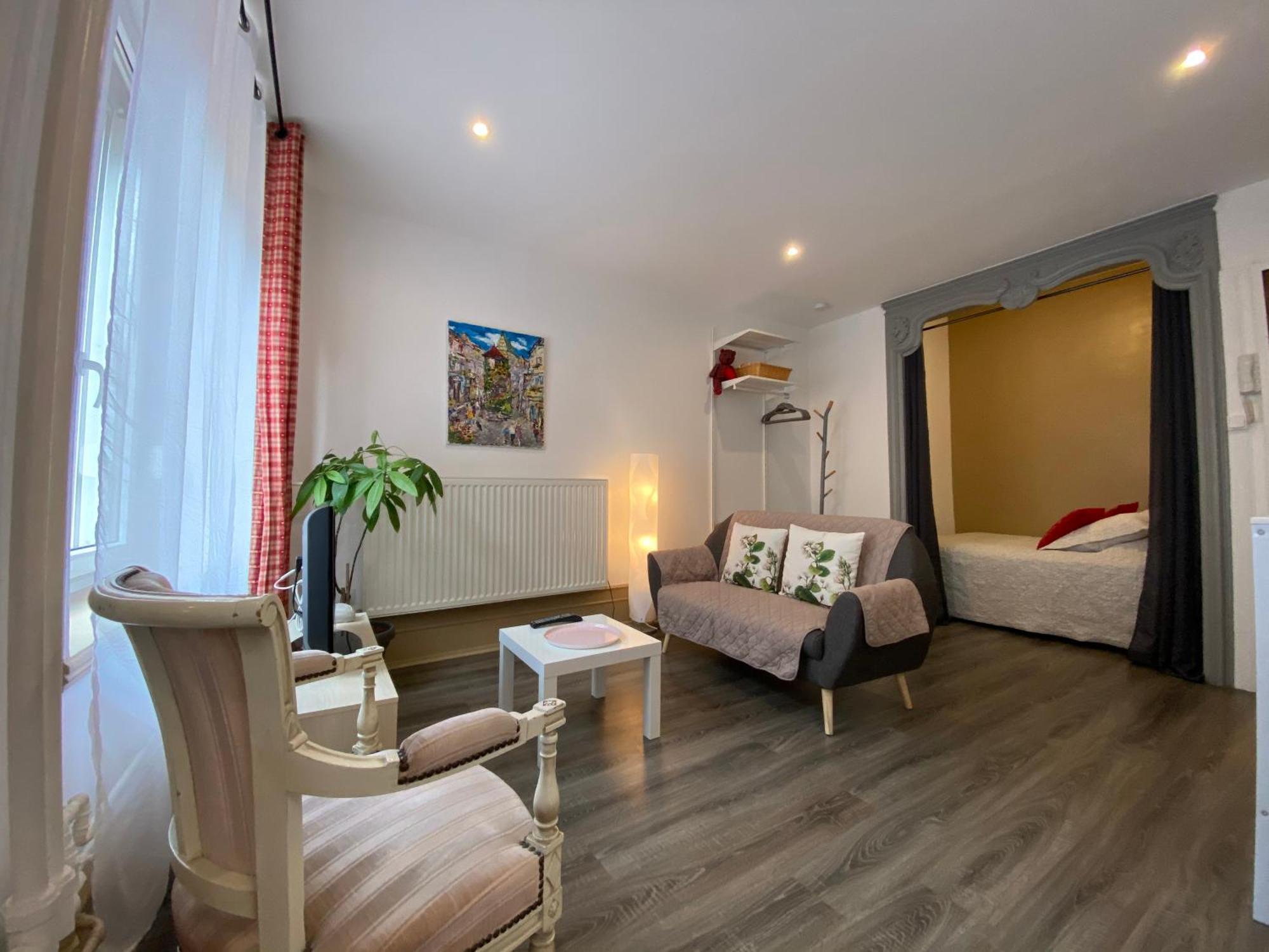 L'Ours De Colmar - Appartements En Centre Ville 외부 사진