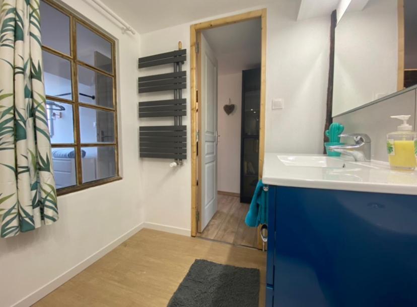 L'Ours De Colmar - Appartements En Centre Ville 외부 사진
