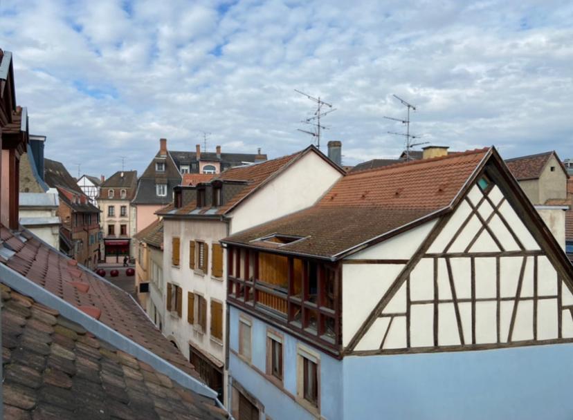 L'Ours De Colmar - Appartements En Centre Ville 외부 사진