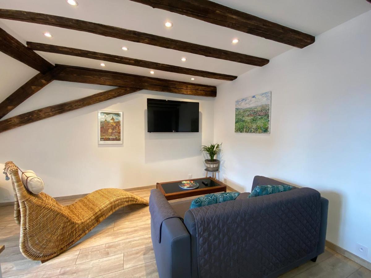 L'Ours De Colmar - Appartements En Centre Ville 외부 사진