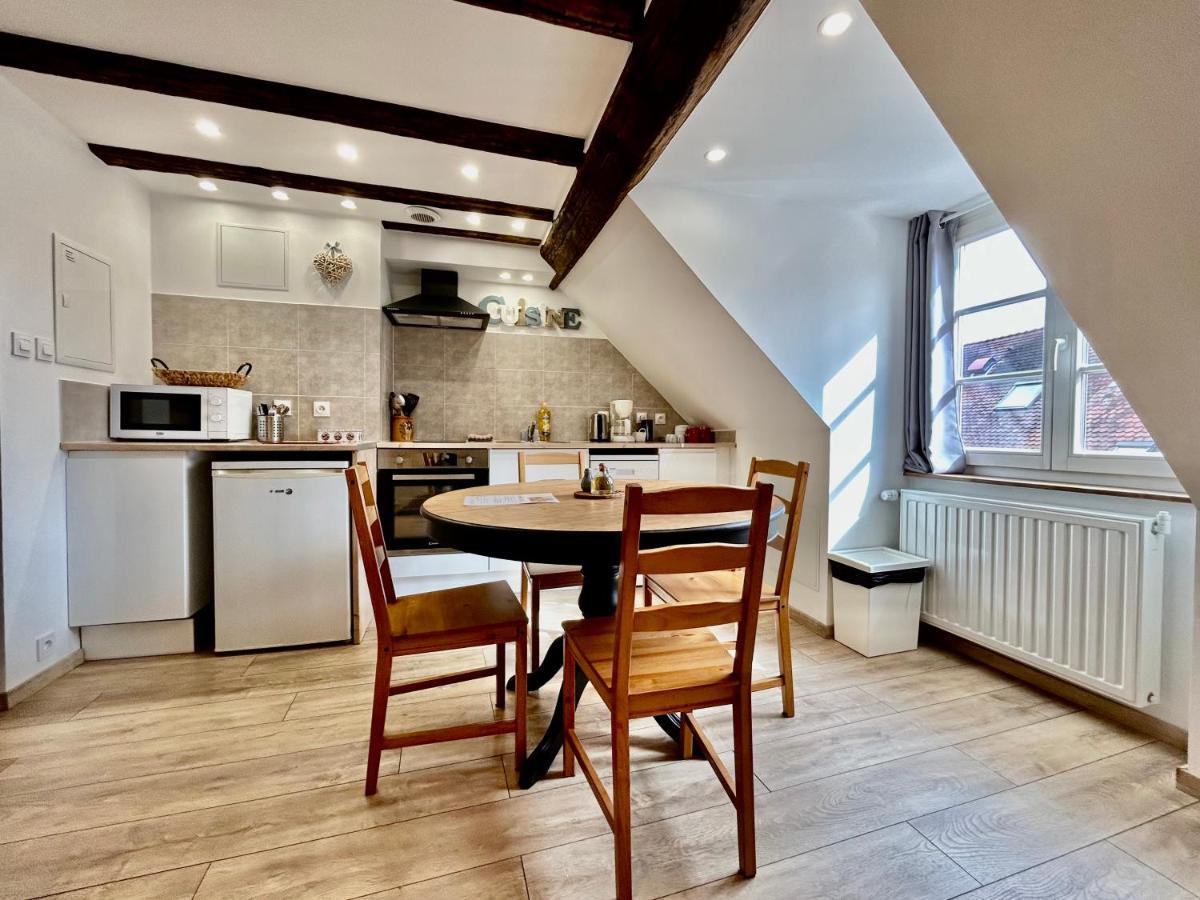 L'Ours De Colmar - Appartements En Centre Ville 외부 사진