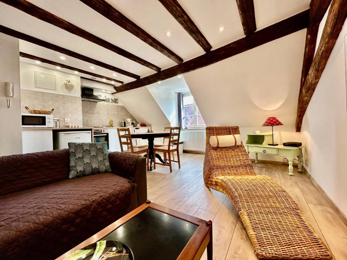 L'Ours De Colmar - Appartements En Centre Ville 외부 사진