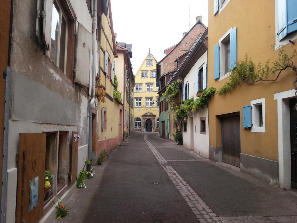 L'Ours De Colmar - Appartements En Centre Ville 외부 사진